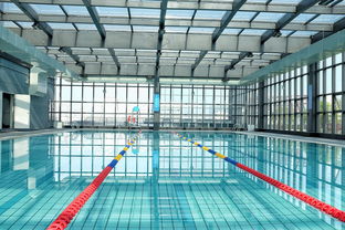 开云官网-世界游泳锦标赛中国运动员连续夺牌,世界游泳锦标赛中国运动员连续夺牌几次