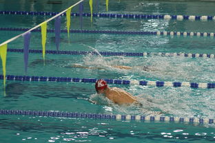 开云官网-世界游泳锦标赛中国运动员连续夺牌,世界游泳锦标赛中国运动员连续夺牌几次